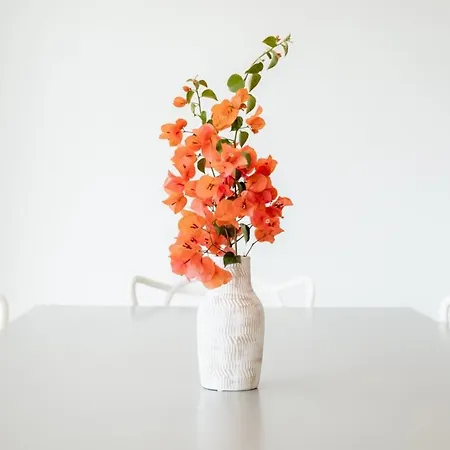 Guestready - A Delightful In Porto Santo